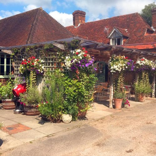 Late-Summer-terrace---The-White-Horse-at-Ampfield-2023-3