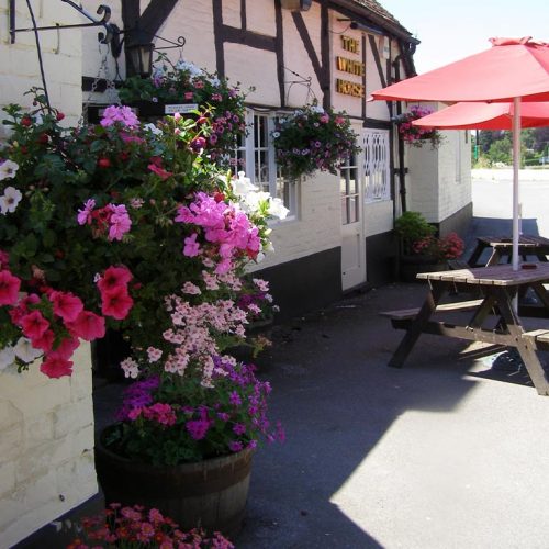 Summer-blooms---The-White-Horse-at-Ampfield-2023-3